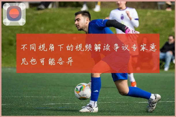 不同视角下的视频解读争议专家意见也可能各异