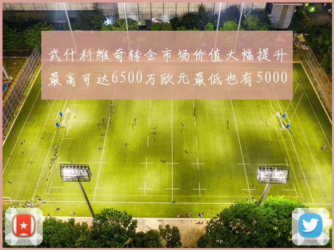 武什科维奇转会市场价值大幅提升最高可达6500万欧元最低也有5000万欧元